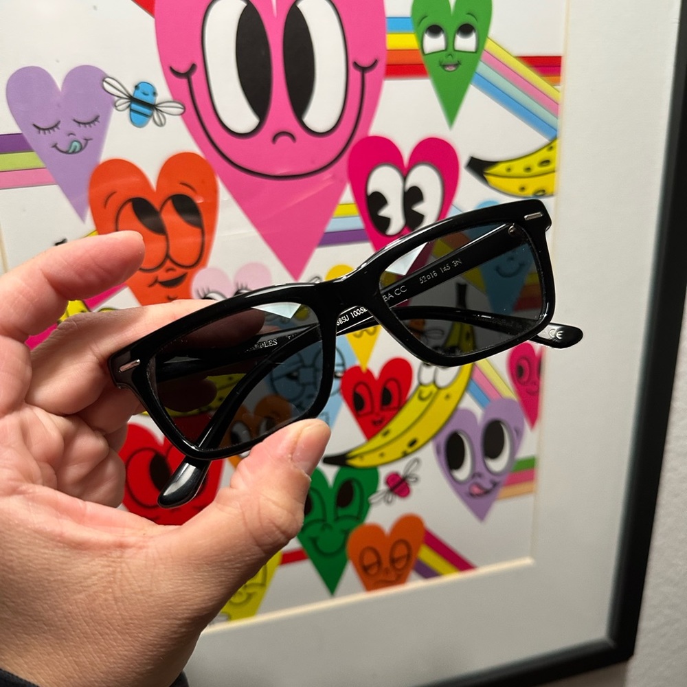 The Row x Oliver Peoples BA CC sunglasses